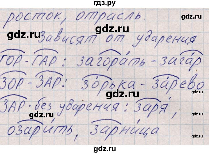 ГДЗ по русскому языку 8 класс Богданова рабочая тетрадь   часть 1 / упражнение - 1, Решебник