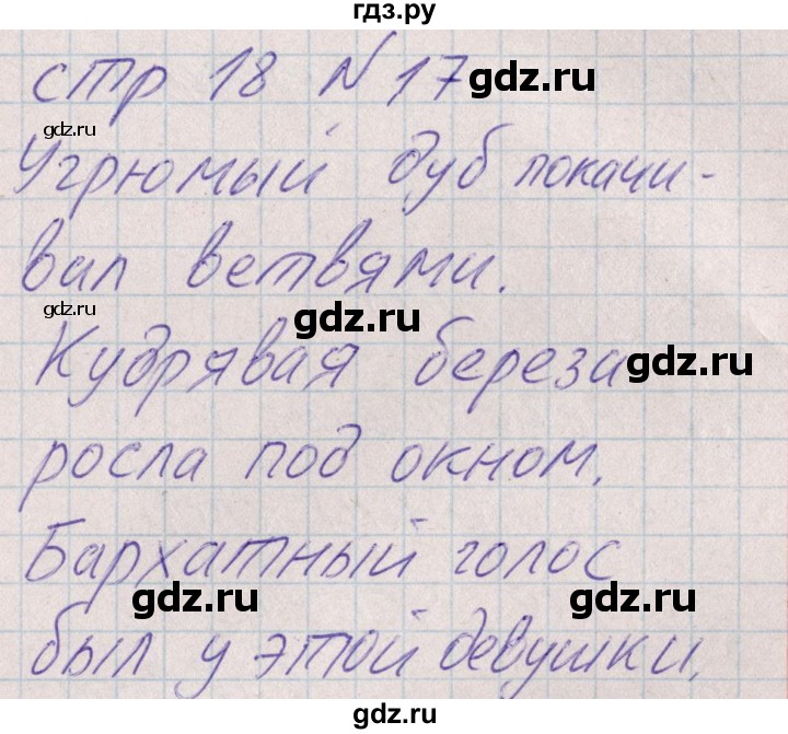 ГДЗ по русскому языку 8 класс Богданова рабочая тетрадь   часть 1 / упражнение - 17, Решебник